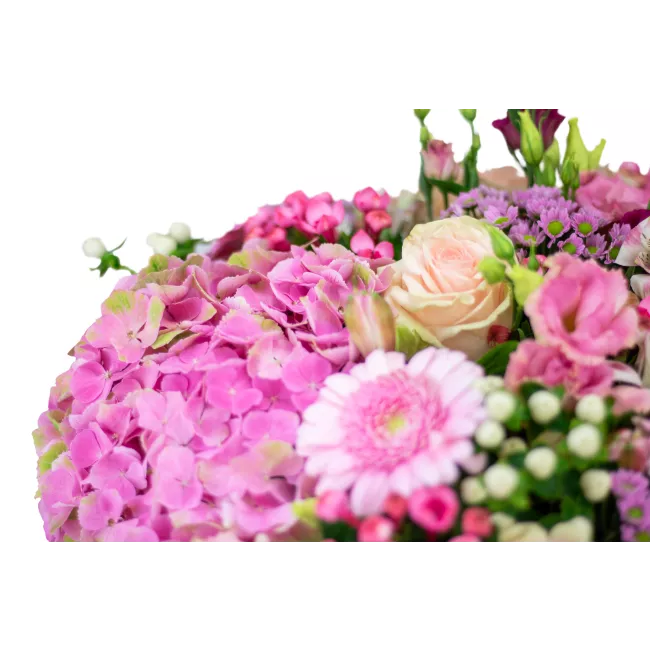 Box růžových květin